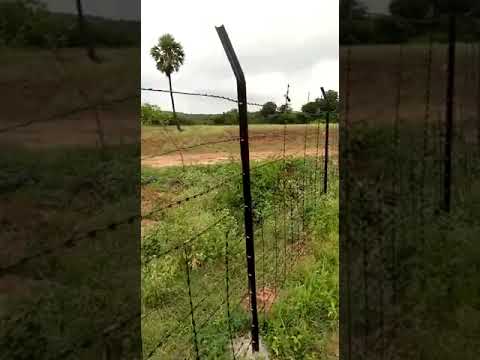 Mild steel razor barbed wire paging sticks, 2 to 6 feet, wir...