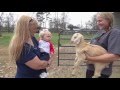 BABY GOAT TALKING SCREAMING