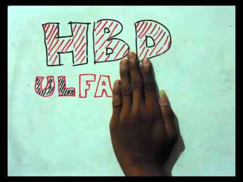 stopmotion - HBD ulfatul mufida