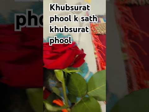 beautiful rose with beautiful girl🌹❤️#love #cutebaby #viral #cute