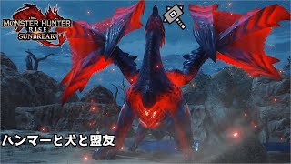 [MHRS] pepo克服天慧龍