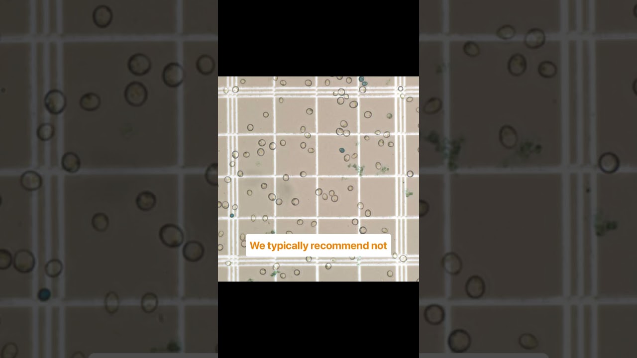 Calculating Viability - White Labs Cell Counting Tips