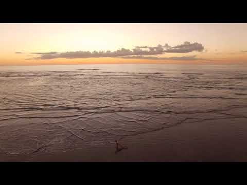 Shiva Rea   Offering Of Jala Prana Flow 45mins