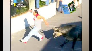 videos de risa personas vs toros