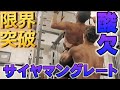 【意識ぶっ飛び】サイヤマングレートと限界突破背中トレで絶対優勝ボディに!!