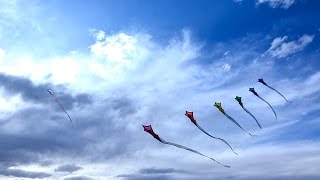 Alta Mira KiteFest - Prepare To Fly!