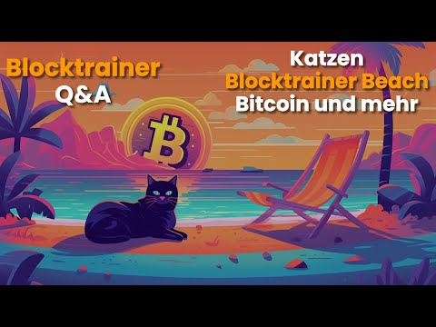 Katzen, Blocktrainer Beach, Bitcoin und mehr | Blocktrainer Q&A