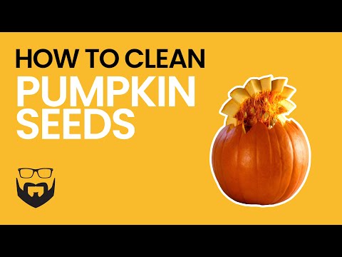 image-How do you dry pumpkin seeds to eat?