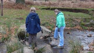 preview picture of video 'A Day Out At Bradgate Country Park'