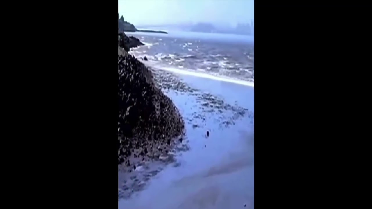 Terremoto di magnitudo 7.3 in Indonesia, scatta l’allerta tsunami: il mare si ritira ...