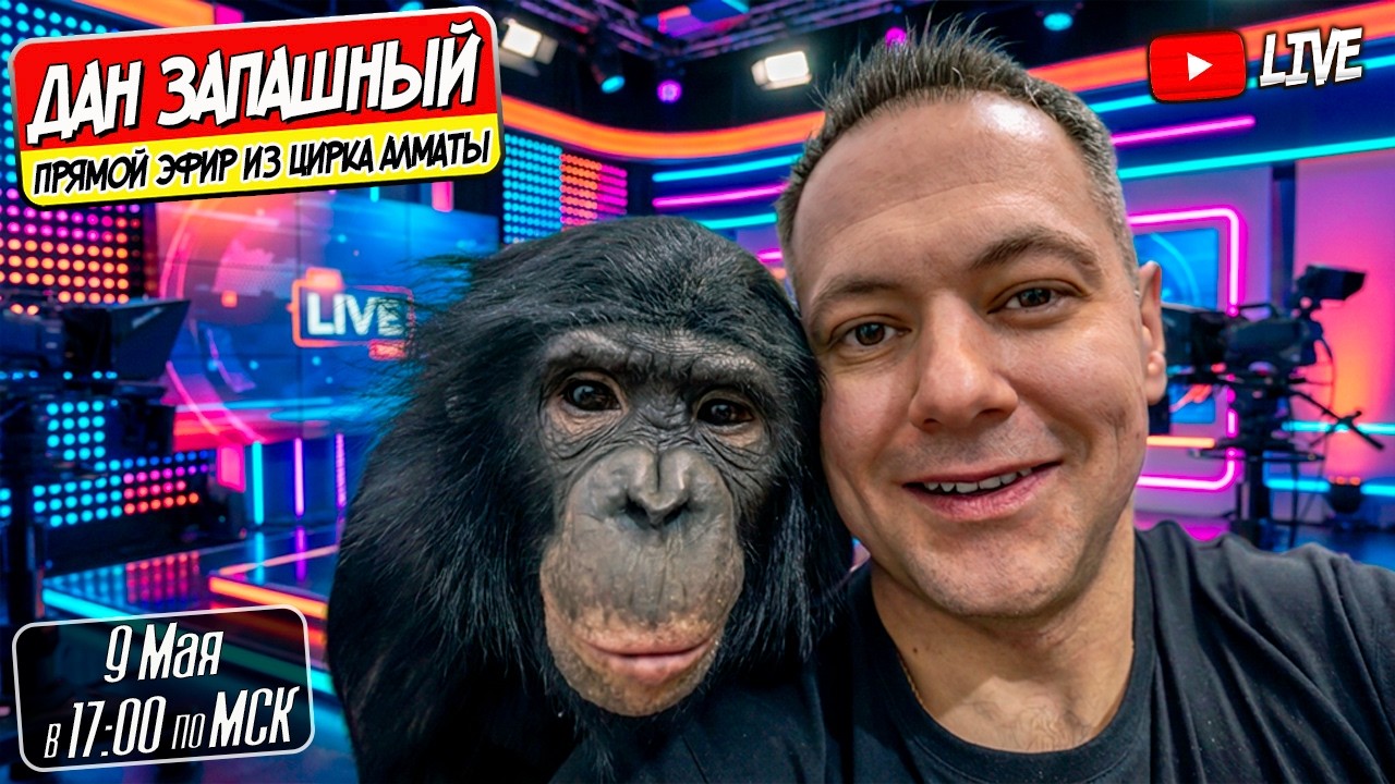 🔴 Вернулись с Шимпанзе в Алматы! Последние Новости от Дана Запашного