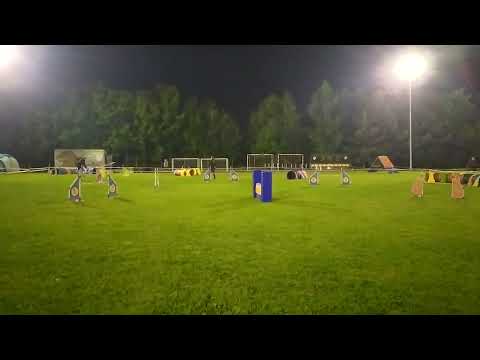 2021.08.21 Jumping open - Summer Agility Cup