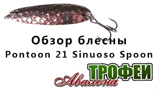 Pontoon 21 3d spoon sampliora