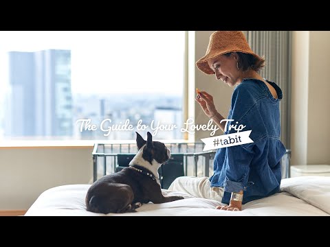 愛犬と泊まる「ドッグフレンドリーステイ」セルリアンタワー東急ホテル｜東急ホテルズ