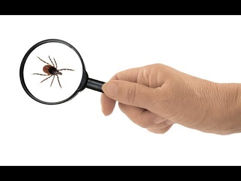 Maska do włosów z jajkiem i sody Maska musztarda na receptury szybki wzrost włosów