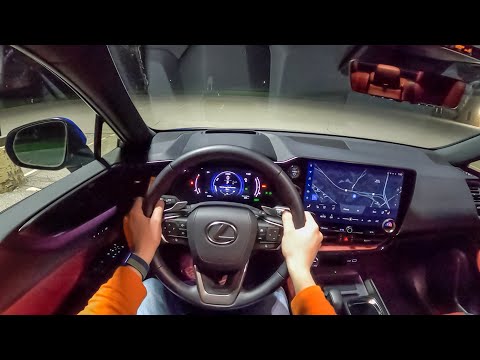 2022 Lexus NX350h - POV Night Drive (Binaural Audio)