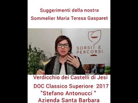 Verdicchio dei Castelli di Jesi Stefano Antonucci Santa Barbara 2017