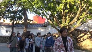 篠崎中校歌・生徒マイ ムービー201９１１０９