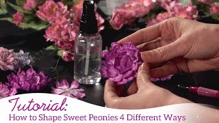 How to Shape Sweet Peony 4 Different Ways