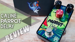 Video thumbnail for AWESOME Budget PEDAL | Caline G-010 PARROT Delay | VIDEO REVIEW [NO TALK] by Perry Frank
