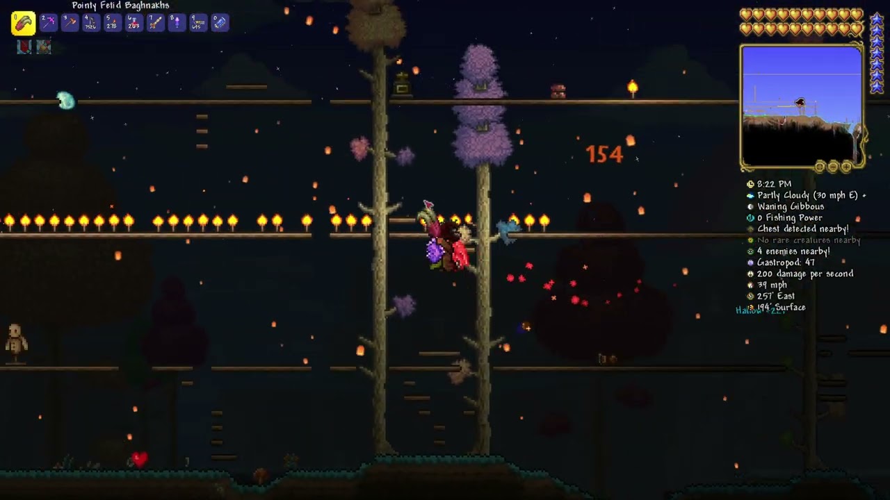 Cool terraria glitch I found or maybe intended