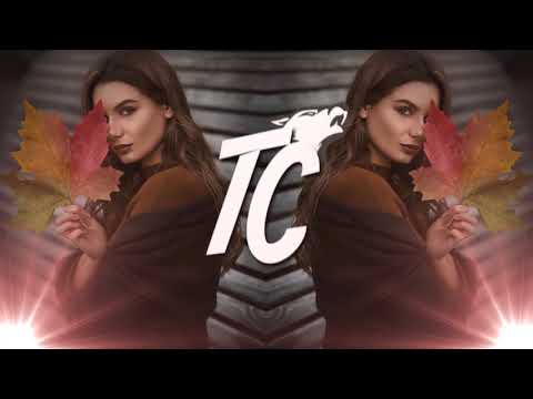 Siedlecky - Bansuri [TRAP CENTRE PREMIERE]