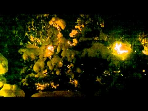 Norbert und die Feiglinge - Meine Heilige Nacht