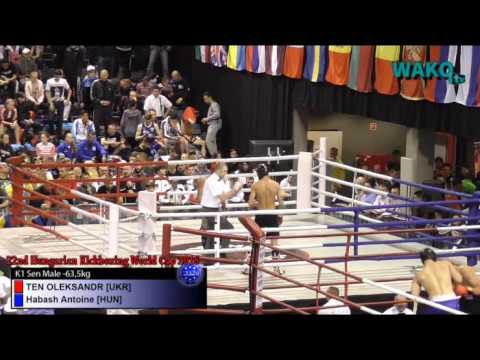 WorldCup Hungary 2016 - K1 sen male -63,5kg - TEN OLEKSANDR [UKR] v. Habash Antoine [HUN]