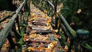 Andrea BOCELLI - Les Feuilles Mortes - Autumn Leaves