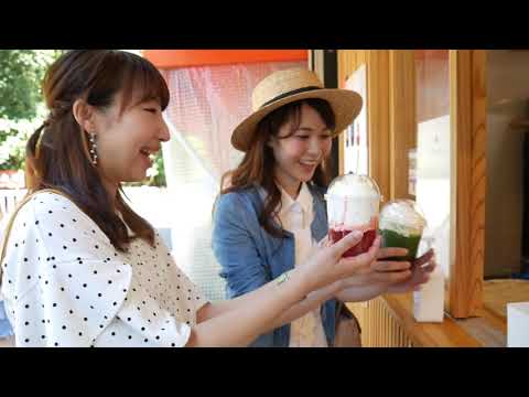 【弥彦村観光PR動画】玉の橋・社家通り -Yahiko,Niigata,Japan-