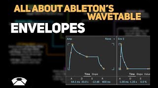 All About Ableton&#39;s Wavetable - Amp Envelope (Part 3)