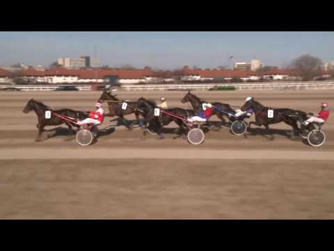 2017.03.04. 3. futam - JOKER DÍJ