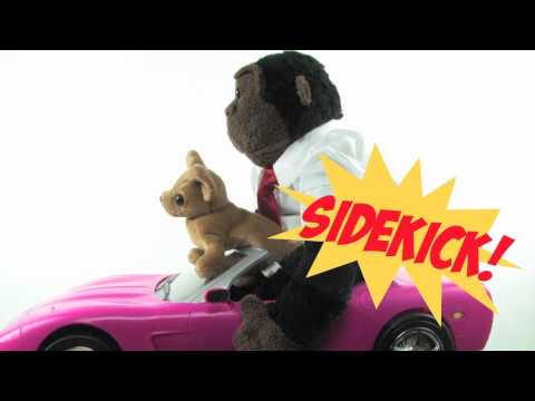 Recess Monkey - Sidekick Video