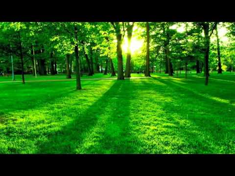 Estudios de la Biblia en Español - Parte 355 (El lenguaje de señas del Salvador)#A