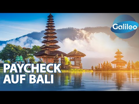 Paycheck Bali: This is how much German expats earn in paradise!