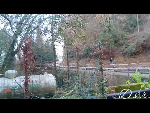 Rally il ciocchetto 2018 PS.9 NOI TV 1 show