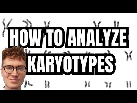 KARYOTYPE ANALYSIS