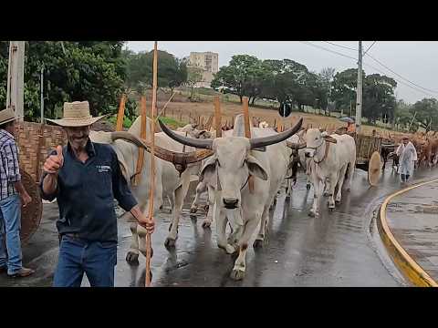 O DESFILE DE CARREIROS DE EXTREMA-MG 2026 !