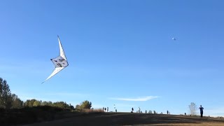 Seattle Summer Day with the TransformerTL.