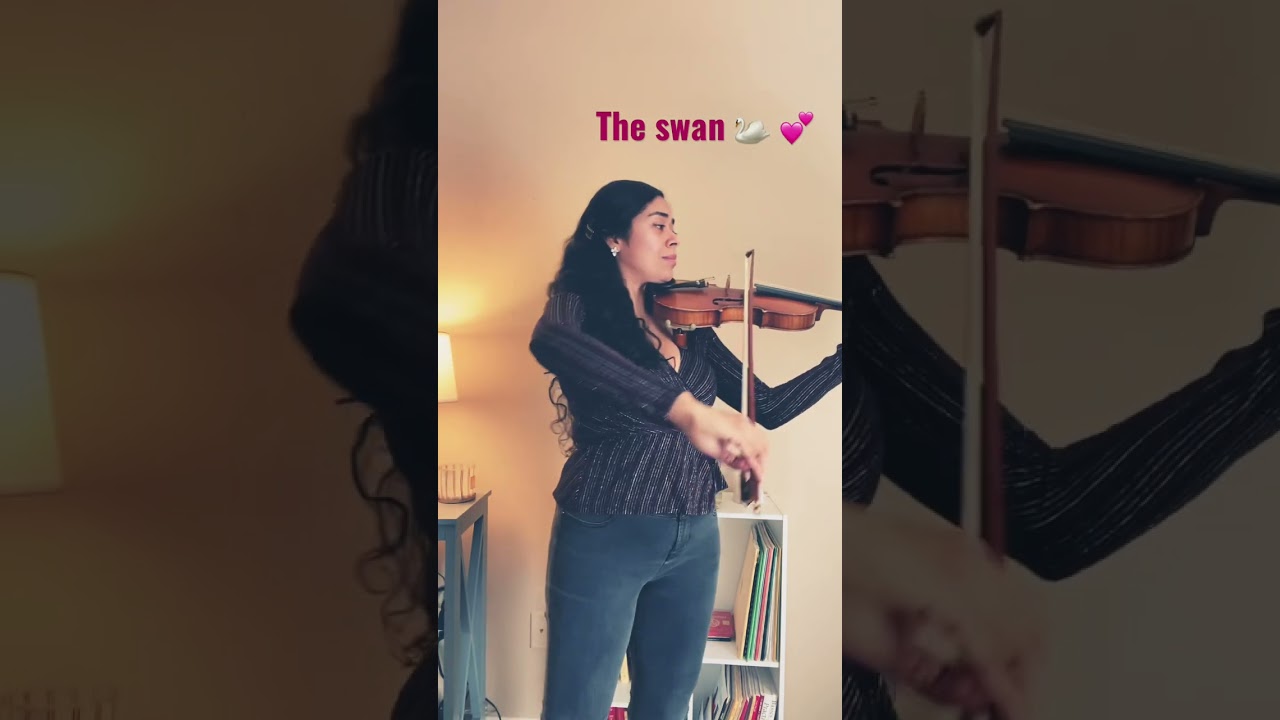 Promotional video thumbnail 1 for Sara Rodriguez, Concert Violinist