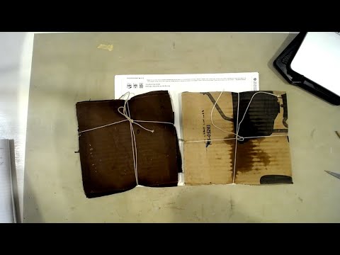 I've been Eco Dying! Live Reveal