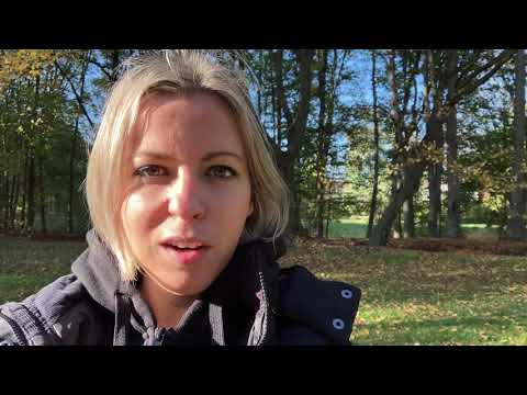 Halloween 🎃 & Vollmond 🌕