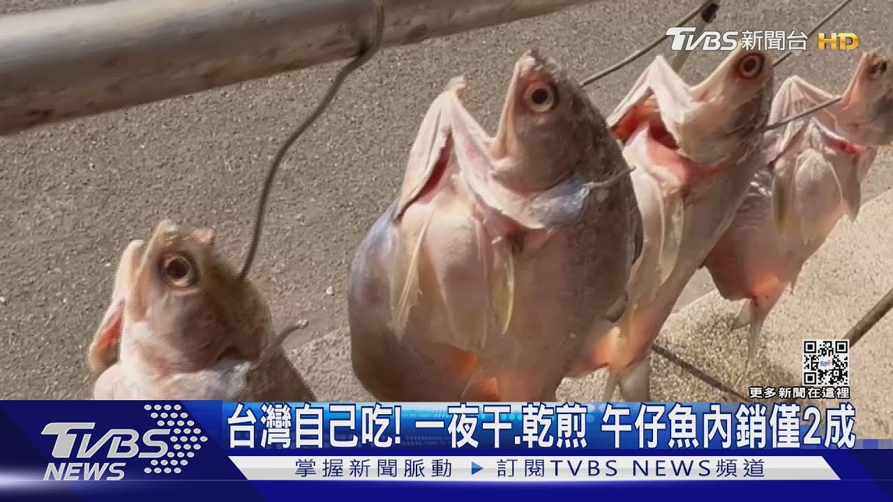 台灣人自己吃!一夜干、乾煎 午仔魚內銷僅占2成