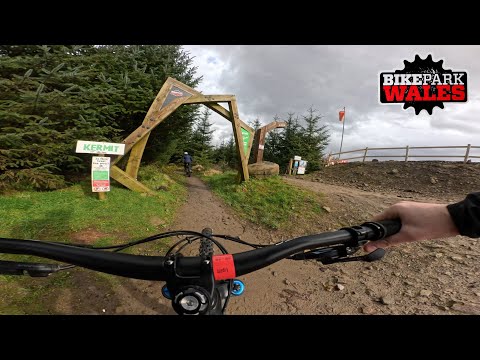 Kermit - Bike Park Wales 2024