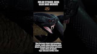 Download lagu SYUJAUL AQRA ! ULAR MENGERIKAN DARI AKHIRAT mp3 Download lagu SYUJAUL AQRA ! ULAR MENGERIKAN DARI AKHIRAT mp3