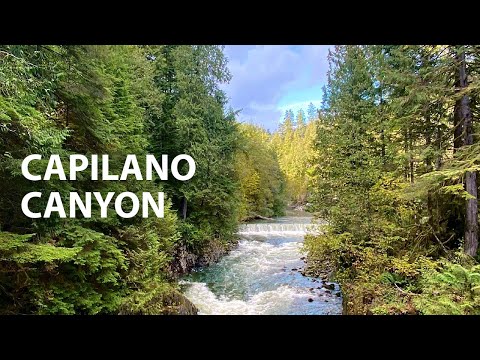 Capilano Canyon Trails North Vancouver, BC   4K Virtual Hike