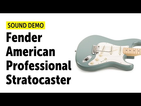 Fender American Professional Stratocaster with Maple Fretboard 2017 Sonic Grey image 20