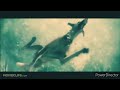 Marmaduke Underwater Scene Dawn