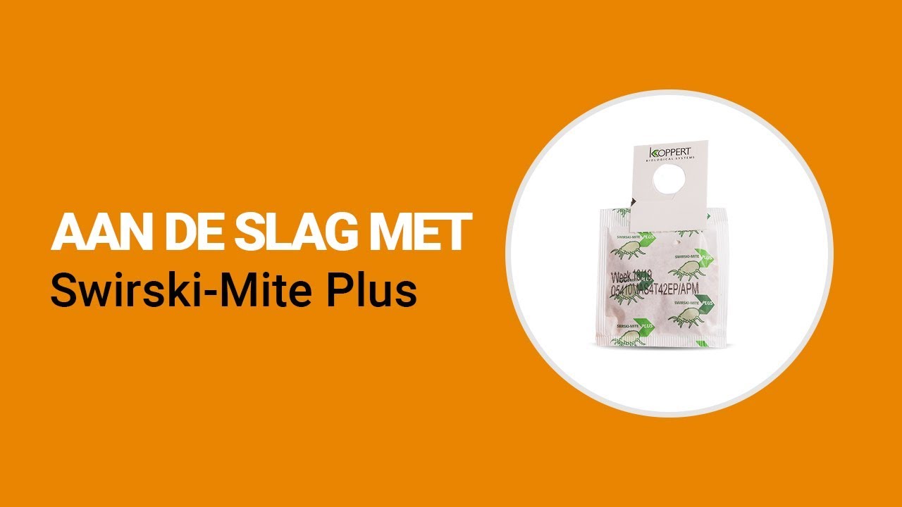 Video preview poster