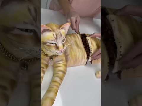 cate bili#number #faizoo #number #aalam #nizami